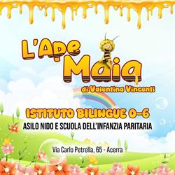 Asilo Nido Acerra L'Ape Maia