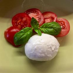 Angolo del gusto
