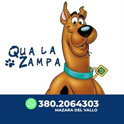 Qua la Zampa Mazara