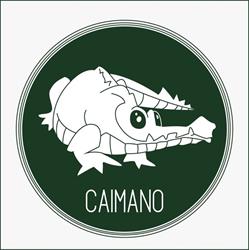 Ass. Caimano