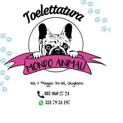 Mondo Animali Pet Shop Toelettatura e Spa