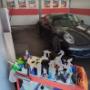 Gallery Cliente