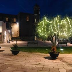 Le Fiche d'India Guest House Giuggianello