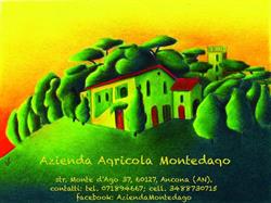 Azienda Agricola Montedago