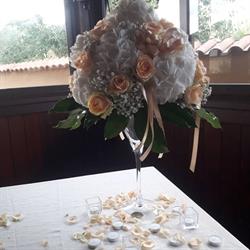 Il Sogno di Noemi