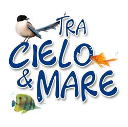 TRA CIELO E MARE