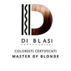 DI BLASI Parrucchieri COLORISTI CERTIFICATI Master of Blond