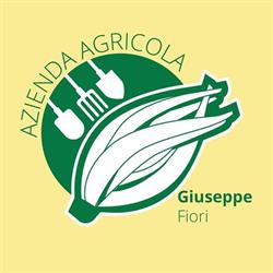 Cardo di Cervia