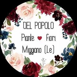 Del Popolo