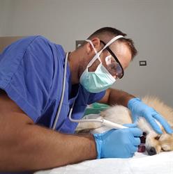 Ambulatorio Veterinario Dott Giancane