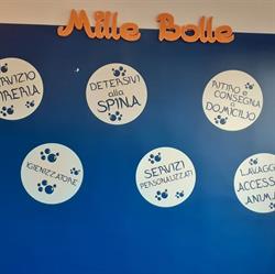Mille Bolle Orbassano