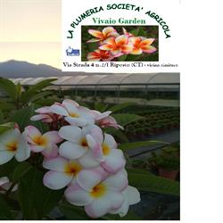 La Plumeria Societa' Agricola