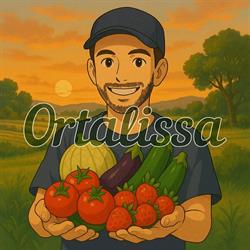 Ortalissa