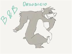 B&B Orsobigio