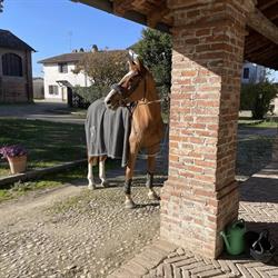 QUINTO Equestrian Centre
