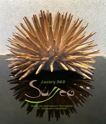 Surreo Luxury Bed & Breakfast