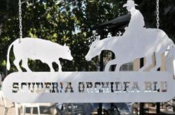 Scuderia Orchidea Blu
