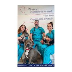 Ambulatorio Veterinario Pace
