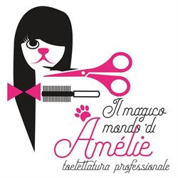 Toelettatura Il magico mondo di Amélie