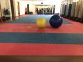 Sala Pesi e Cardio - Corsi per bambini, giovani e adulti - Servizio di Personal Trainer - Collaborazione con nutrizionista biologa - Medico in sede