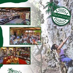 Old Tropicoasi Bar