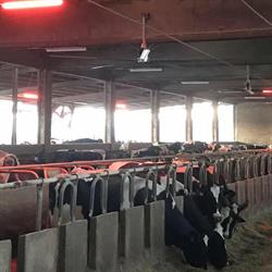D.A. Impianti Elettrici di Darò Alessandro