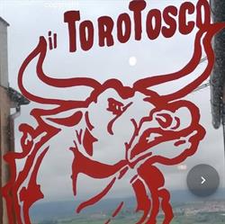 Il torotosco