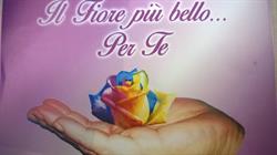 Il fiore piu' bello.per te
