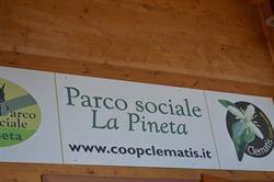 Coop Sociale 'Clematis' ARL