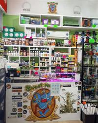 Canapaio Vignola - Deep Roots Grow Shop