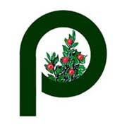 Pungitopo Editrice