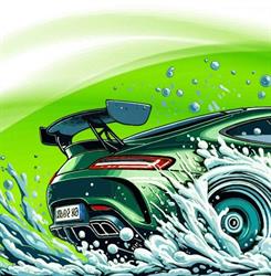 Green Wash Casale