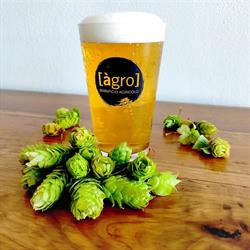 Birrificio àgro