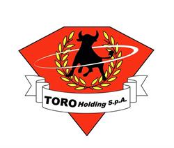 Gruppo Toro Holding
