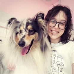 La casa di Polly