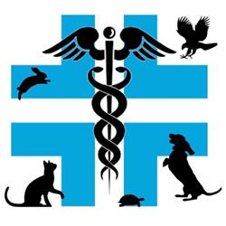 Centro Veterinario Elaphe