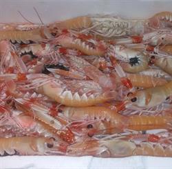 Pescheria Siano