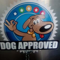 SplendiDog