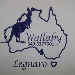 WALLABY