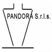 Pandora srls
