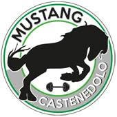 Palestra Mustang Castenedolo