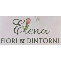 Elena fiori & dintorni di Elena Teresa Visentin