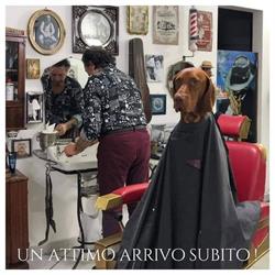 Giose Barber'art
