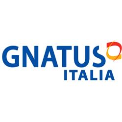 Gnatus Italia - Riuniti Dentali