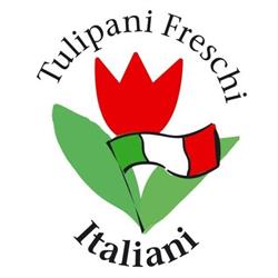 Tulipani Freschi Italiani