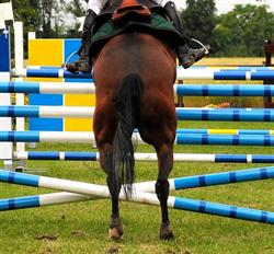 La Torretta - Scuola di Equitazione & Pony Club