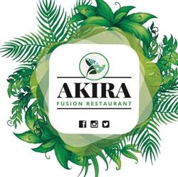 Akira Fusion Experience