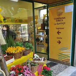 Bottega ACQUI TERME Gaglione