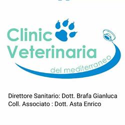 Clinica Veterinaria del Mediterraneo