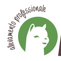 Quadrifoglio Alpaca